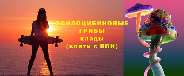 СК Алзамай